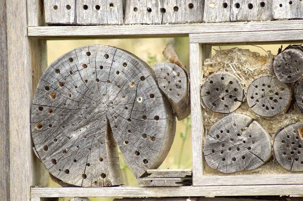 Insekthotel på en time: Hjælp havens bier og sommerfugle
